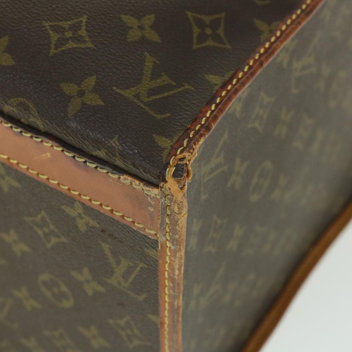 LOUIS VUITTON Monogram Sac Demi Souple 45 Pet Carry LV Auth 53854