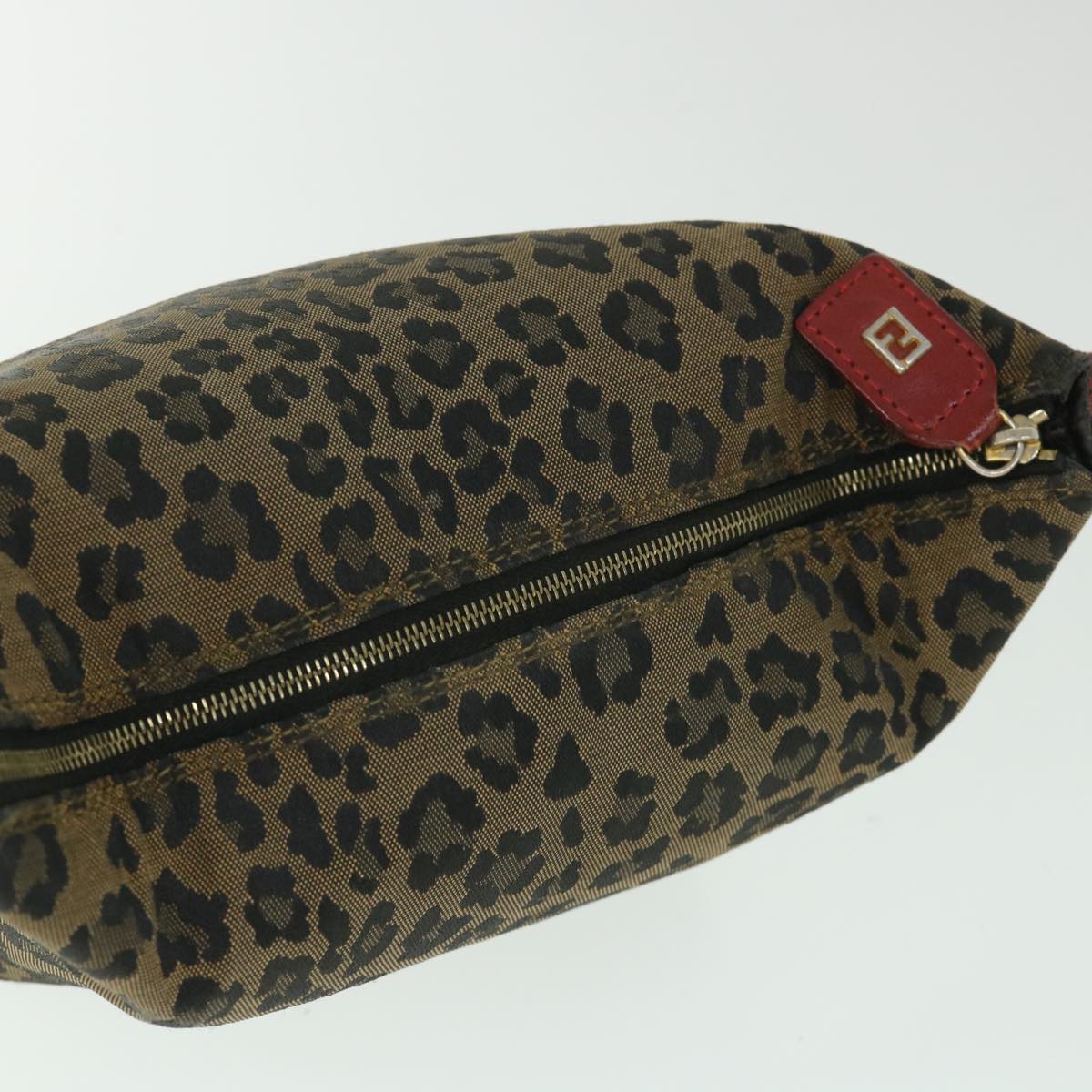 FENDI Leopard Hand Bag Brown Red Auth 55755