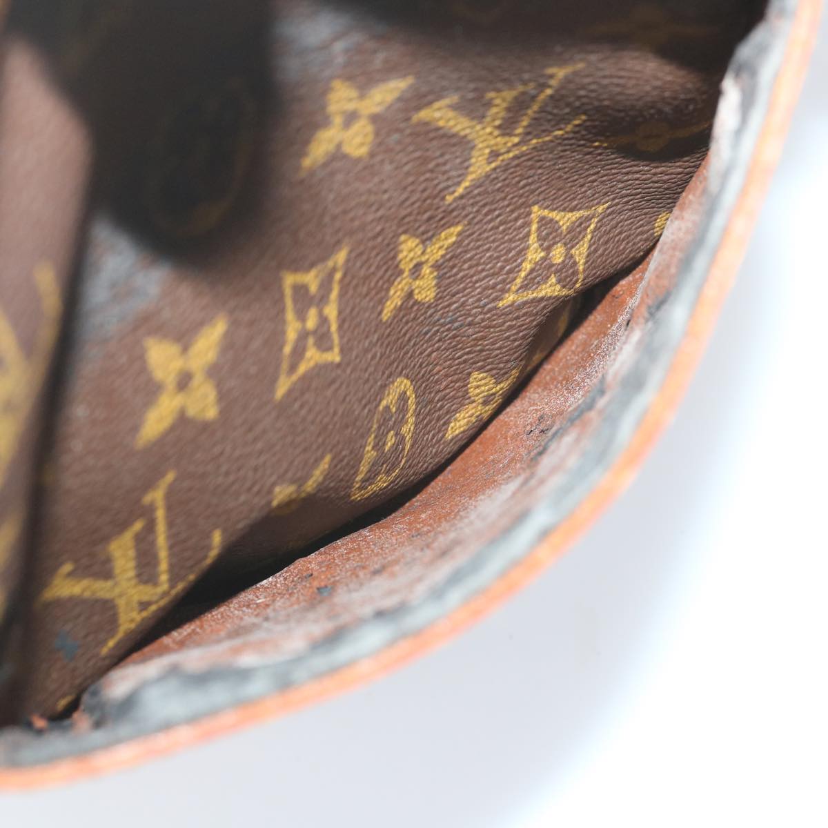 LOUIS VUITTON Monogram Danube Shoulder Bag M45266 LV Auth 56453