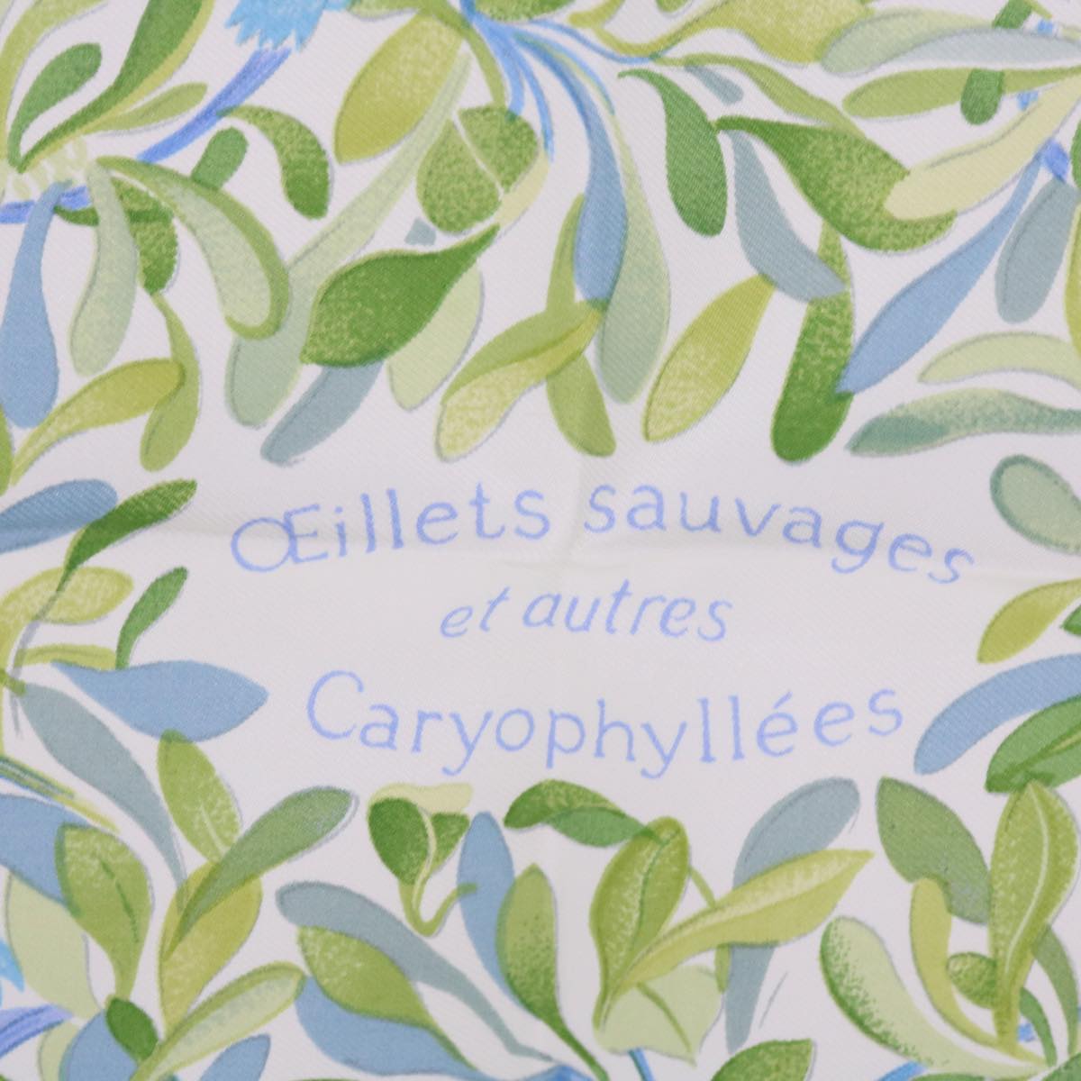 HERMES Carre 90 OEillets sauvages et autres Caryophyllees Scarf Silk Auth 61729