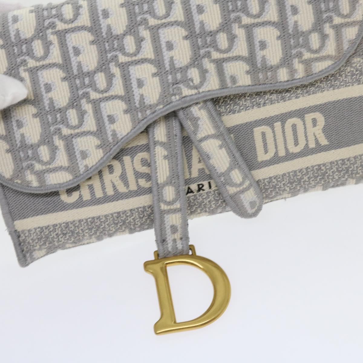Christian Dior Trotter Canvas Waist bag Light Blue Auth 62916A