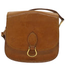 LOUIS VUITTON Nomad Saint Cloud MM Shoulder Bag Brown M52193 LV Auth am3760-13