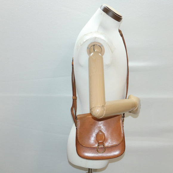 LOUIS VUITTON Nomad Saint Cloud MM Shoulder Bag Brown M52193 LV Auth am3760