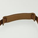 LOUIS VUITTON Nomad Saint Cloud MM Shoulder Bag Brown M52193 LV Auth am3760-14