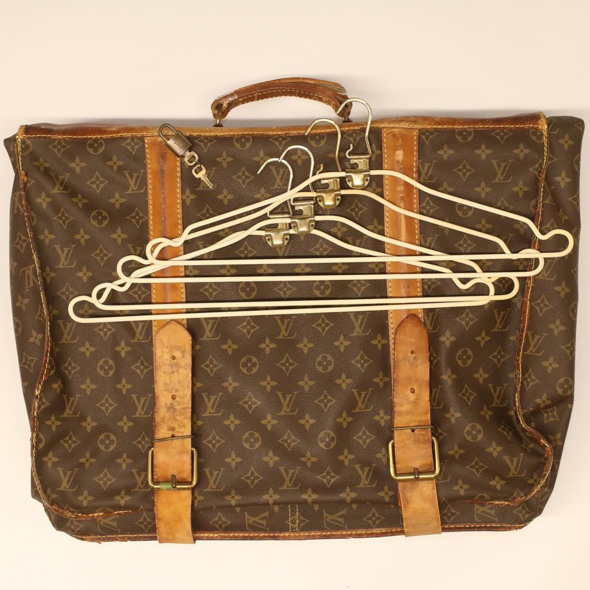 LOUIS VUITTON Monogram Carry Suiter Garment Cover M23522 LV Auth am3932