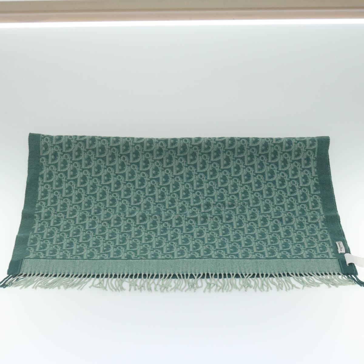 Christian Dior Trotter Canvas Lap Blanket Towel Green Auth am5307