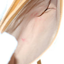 GUCCI Micro GG Supreme Shoulder Bag PVC Beige 007 123 0087 Auth am5471-11