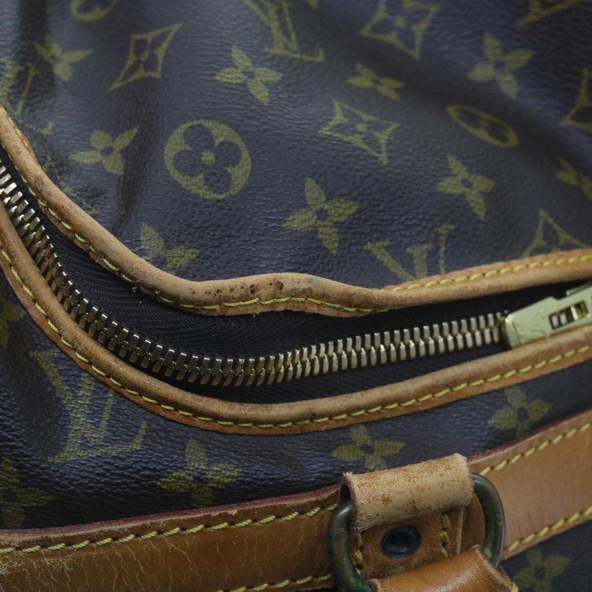 LOUIS VUITTON Monogram Sac Shan 40 Pet Carry M42024 LV Auth bs10022