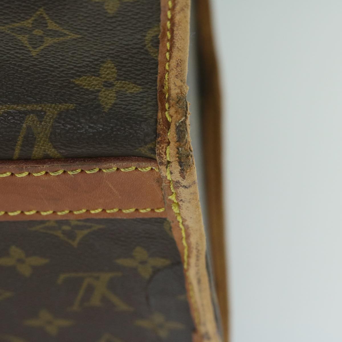 LOUIS VUITTON Monogram Sac Shan 40 Pet Carry M42024 LV Auth bs10142