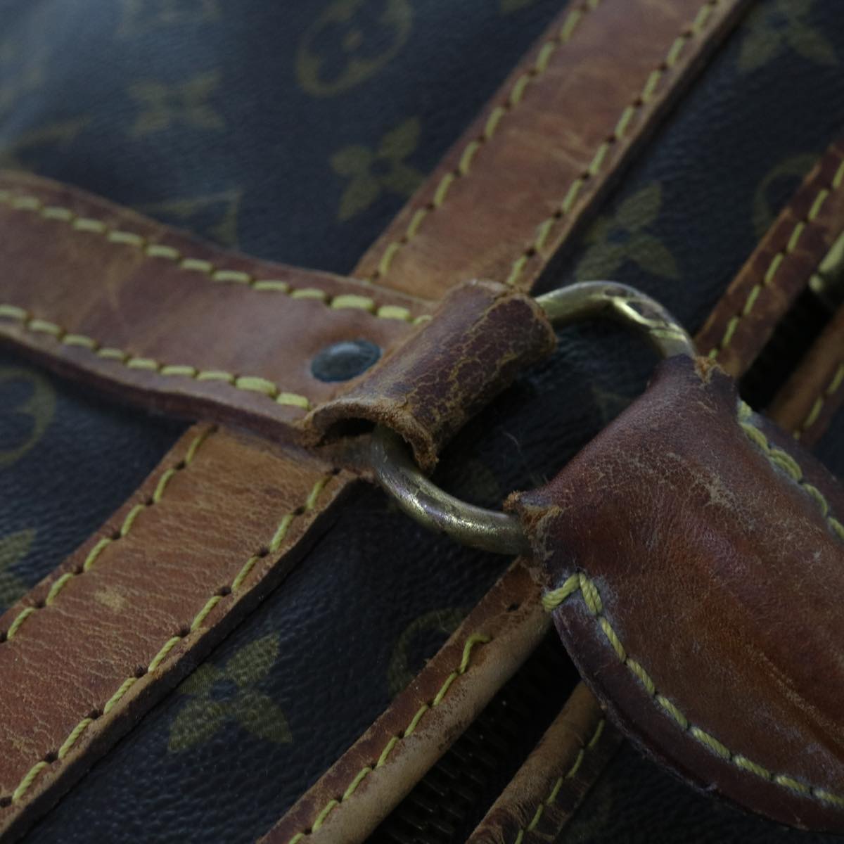 LOUIS VUITTON Monogram Sac Shan 55 Pet Carry M42020 LV Auth bs11574