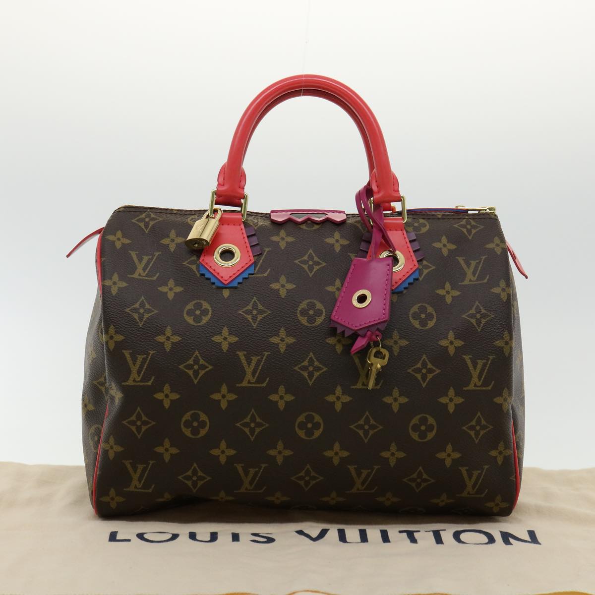 LOUIS VUITTON Monogram Totem Speedy 30 Hand Bag M41666 LV Auth bs2099A