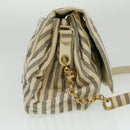 CHANEL Striped Matelasse Chain Shoulder Bag Canvas White Gray CC Auth bs3642-4