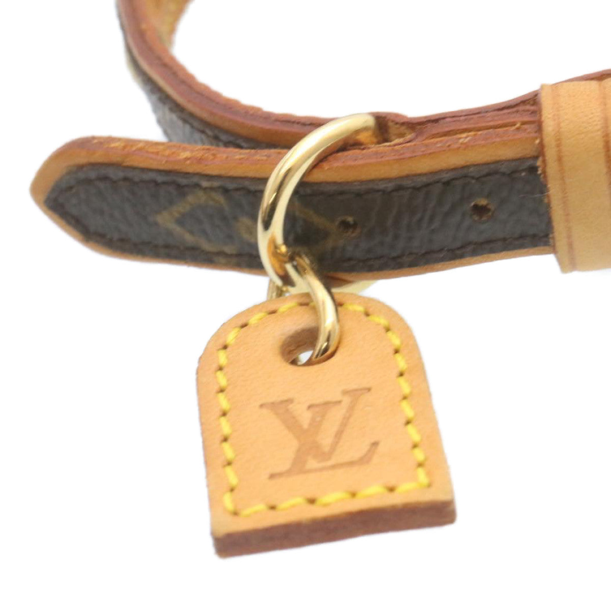 LOUIS VUITTON Monogram Collier Baxter PM Dog Leash M58072 LV Auth am2056g