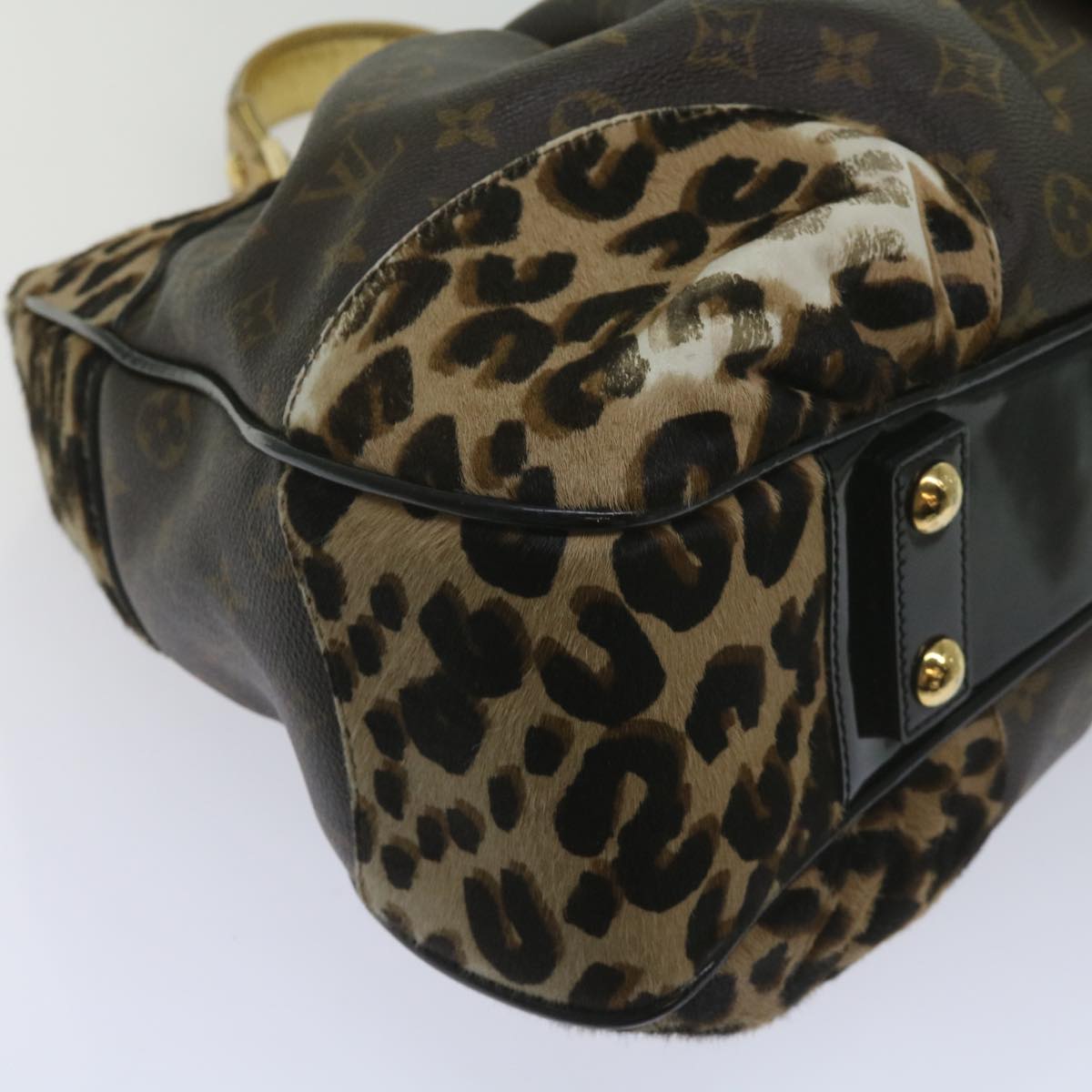 LOUIS VUITTON Monogram Leopard Polly Shoulder Bag M95282 LV Auth ki3824