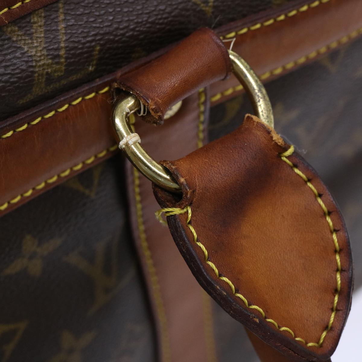 LOUIS VUITTON Monogram Sac Shan 50 Pet Carry M42021 LV Auth yk8496