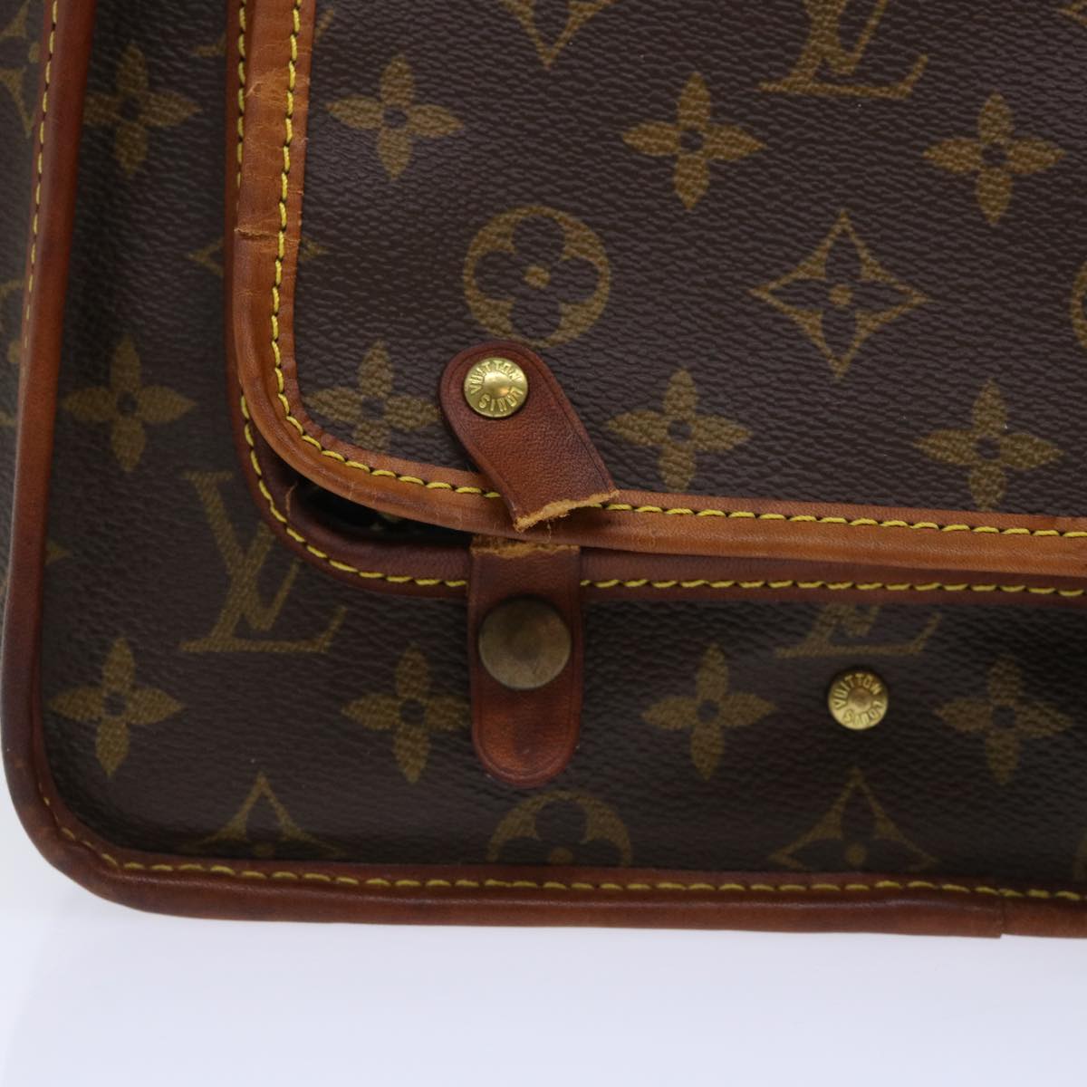 LOUIS VUITTON Monogram Sac Shan 50 Pet Carry M42021 LV Auth yk8496