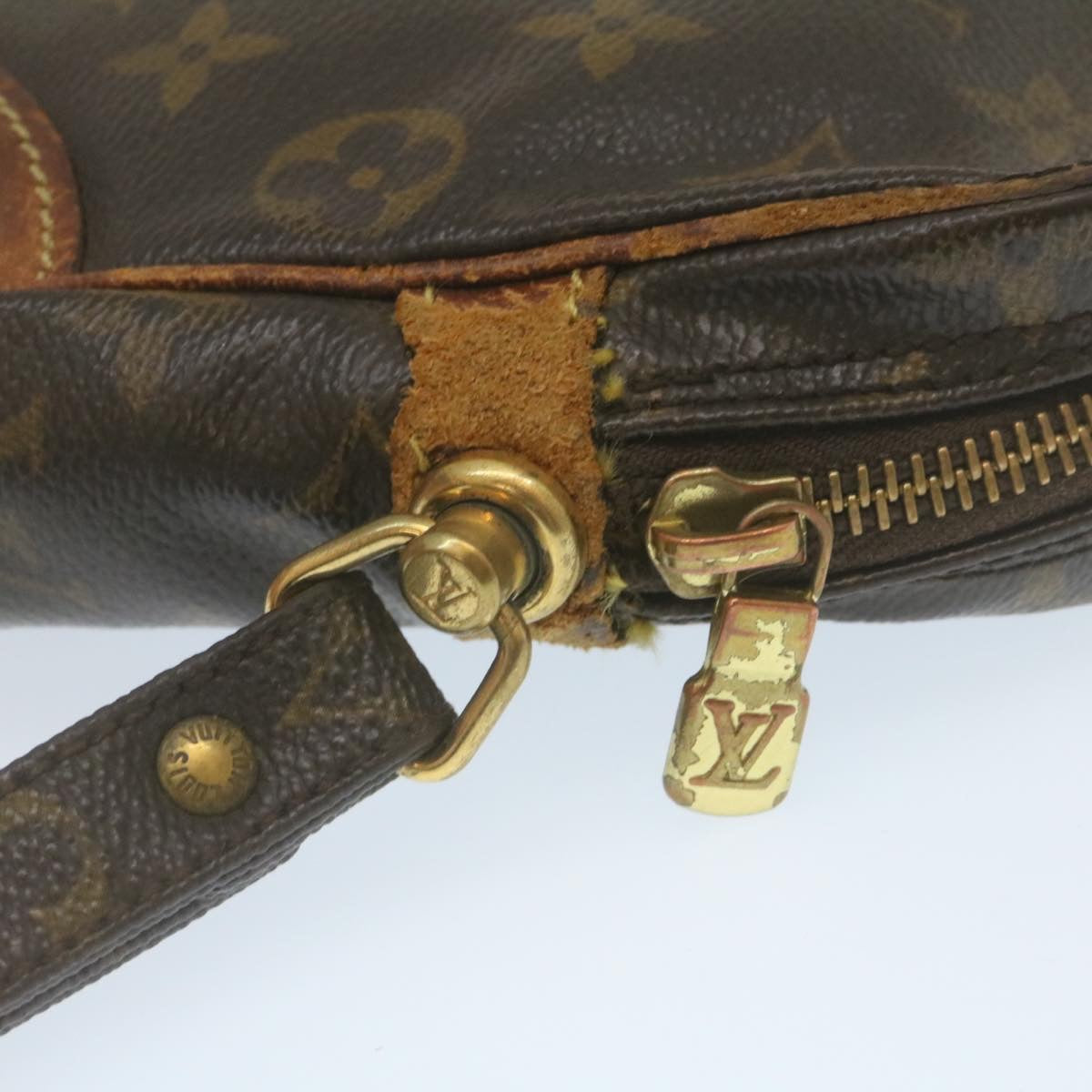 LOUIS VUITTON Monogram Marly Dragonne GM Clutch Bag M51825 LV Auth yt743